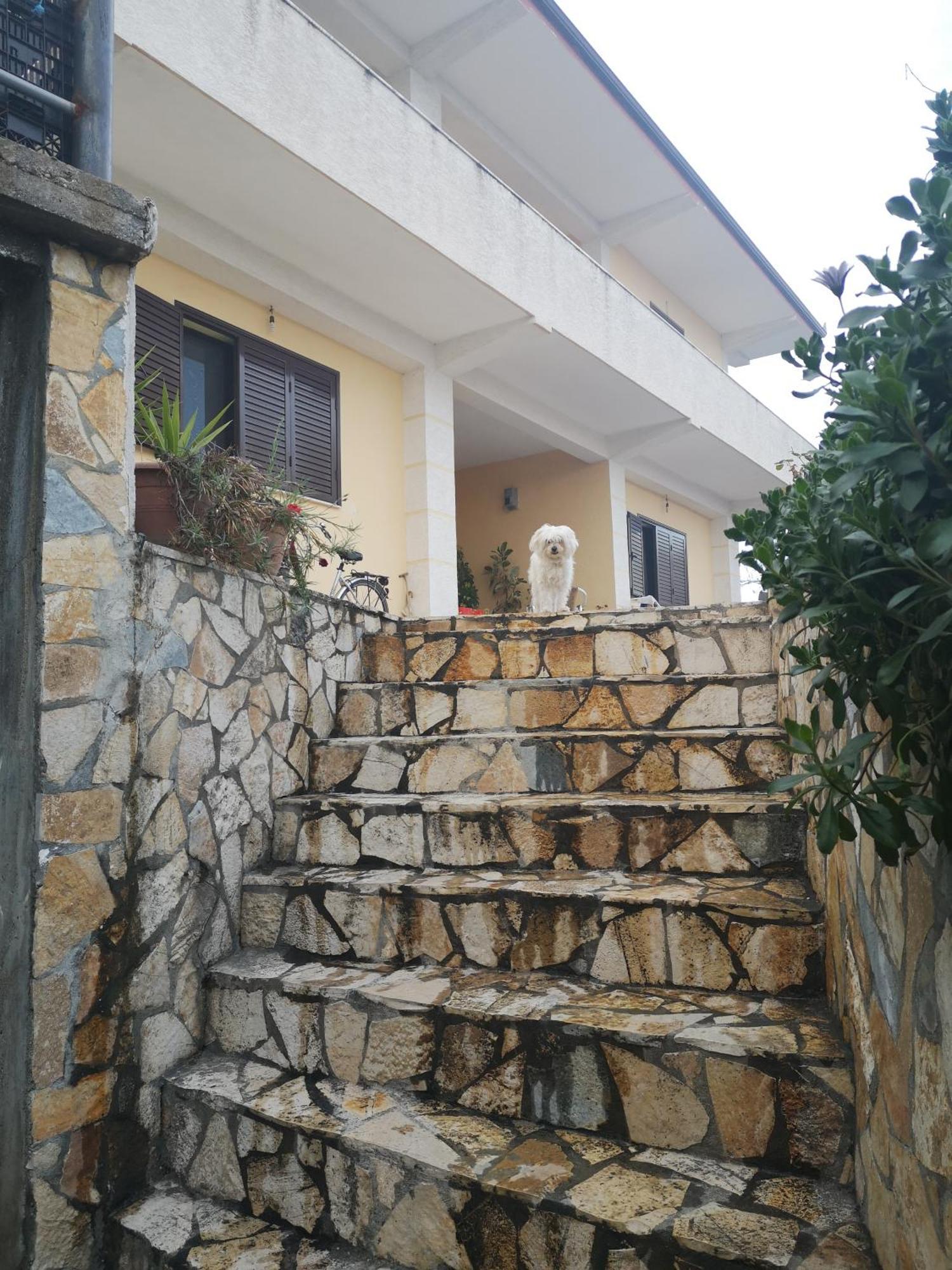 Private House Durres Villa Room photo